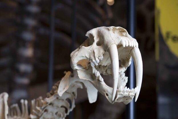 7 Free & Affordable Things to Do with Kids in Edinburgh
